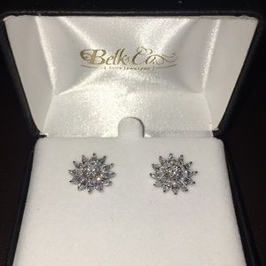 925 Silver Earrings